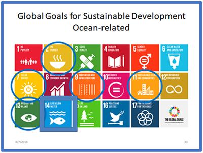 The Challenge of Sustaining Ocean Observations